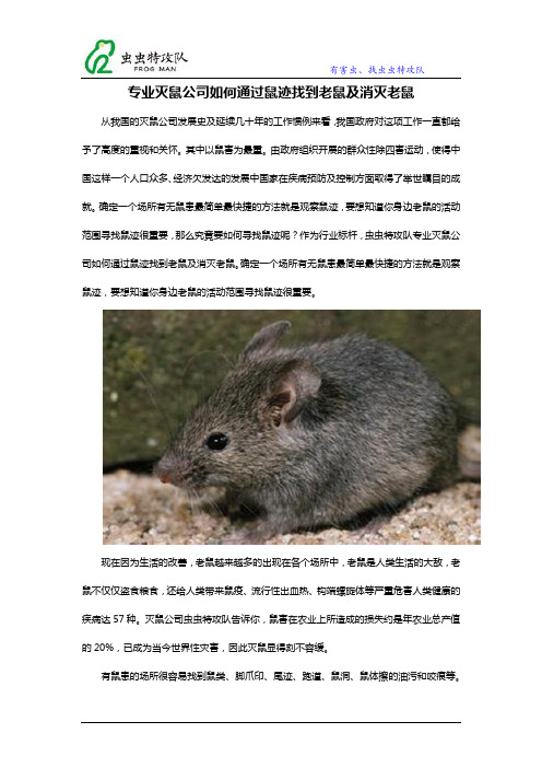 专业灭鼠公司如何通过鼠迹找到老鼠及消灭老鼠