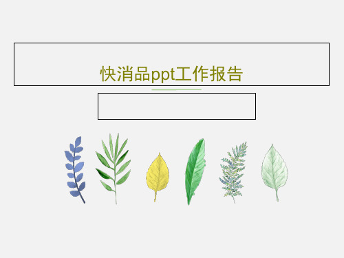 快消品ppt工作报告55页PPT