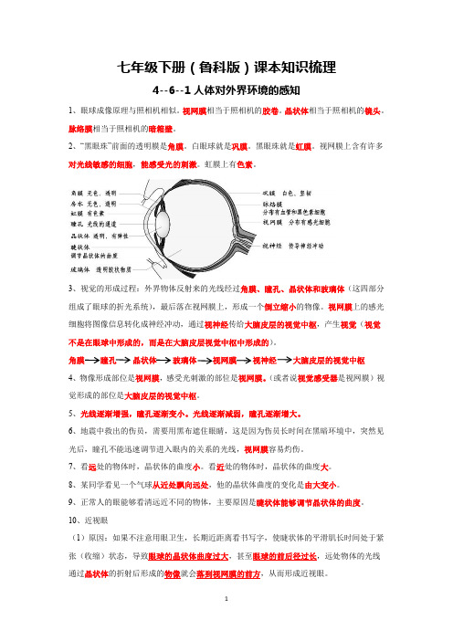 山东省新泰市2021--2022学年七年级下册生物课本知识梳理(鲁科版)