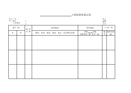 地质钻探记录表