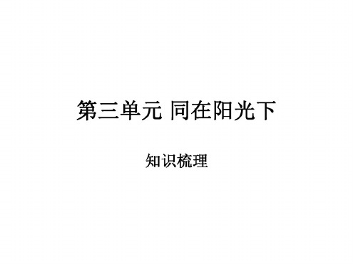 思想品德：第三单元《同在阳光下》知识梳理课件(教科版九年级)