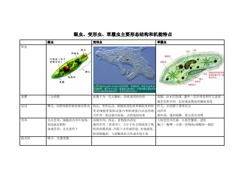 眼虫变形虫草履虫主要形态结构和机能特点