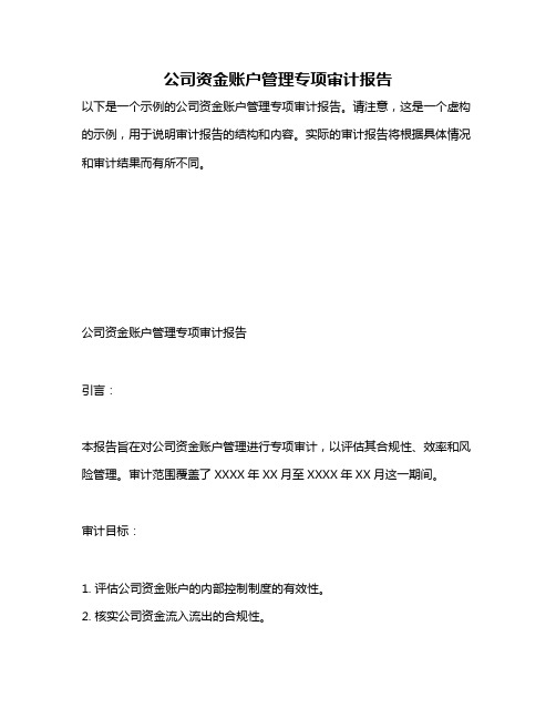 公司资金账户管理专项审计报告