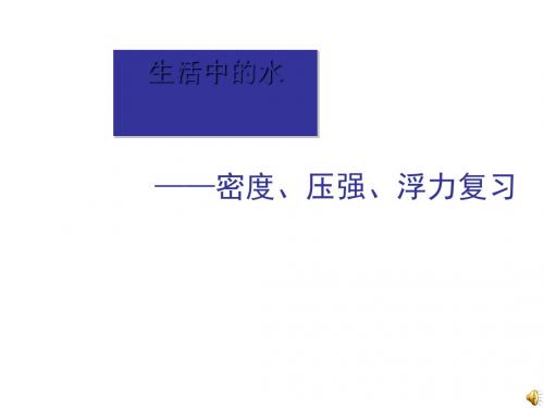 密度、压强、浮力专题复习ppt 人教版