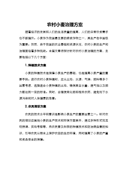 农村小麦治理方案