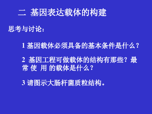 基因表达载体构建-PPT课件