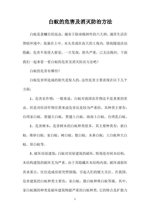 白蚁的危害及消灭防治方法