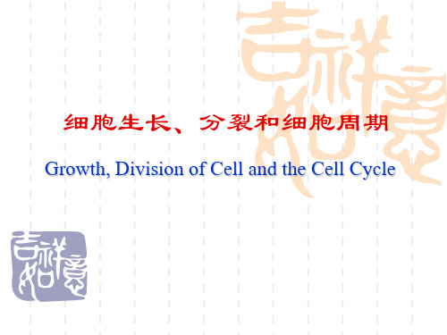 细胞生长、分裂和分裂周期