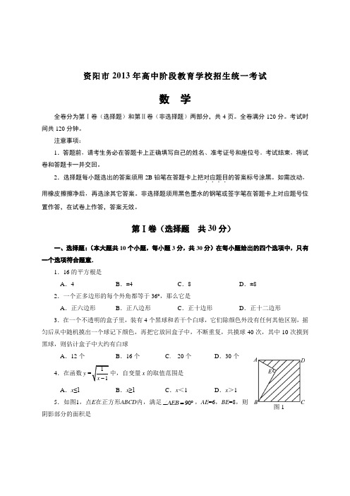 四川省资阳市2013年中考数学试题(含答案)