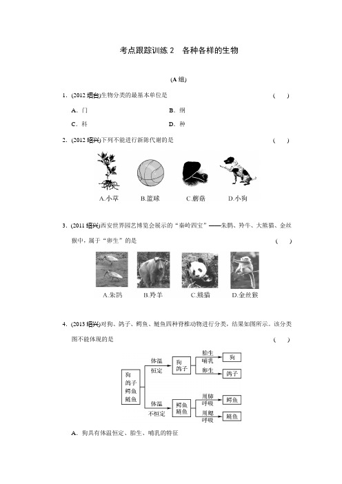 考点跟踪训练2 各种各样的生物