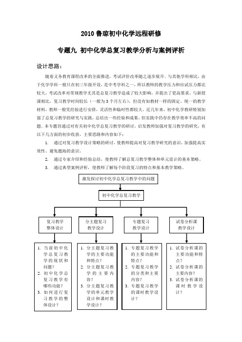 初中化学专题9课程文本