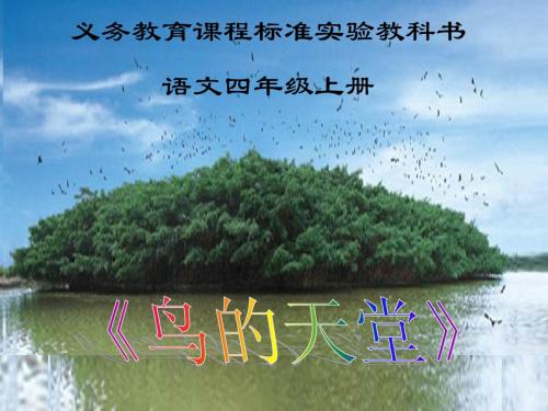 鸟的天堂