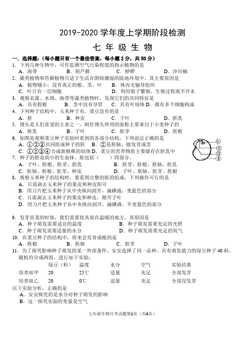 七年级上学期生物11月月考题第三单元一二三章