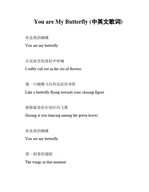 You are My Butterfly (中英文歌词)