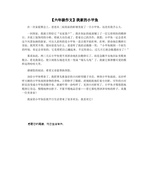 【六年级作文】我家的小甲鱼
