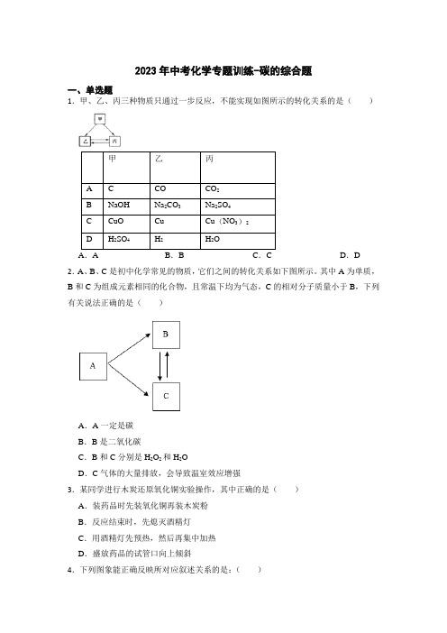 2023年中考化学专题训练-碳的综合题【附解析】