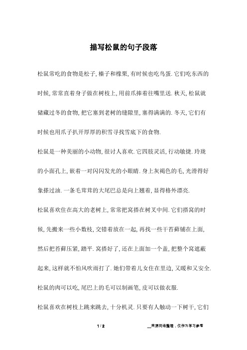 描写松鼠的句子段落