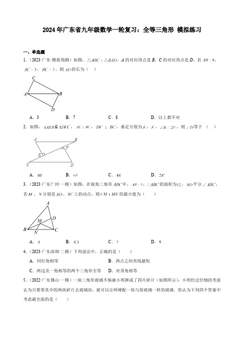 广东省2024年九年级中考数学一轮复习：全等三角形 模拟练习(含解析)