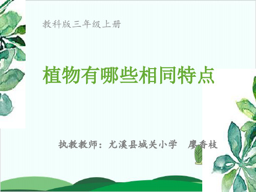 教科版教材《植物有哪些相同特点》优质教学PPT1