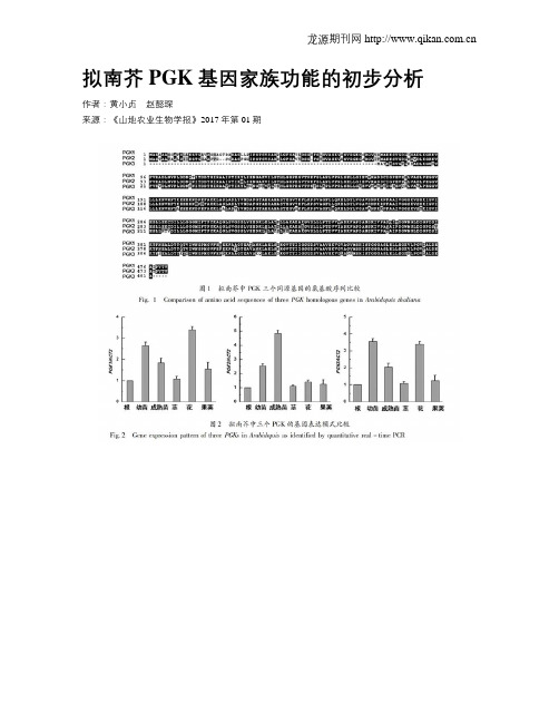 拟南芥PGK基因家族功能的初步分析