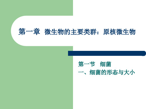 齐鲁工业大学 周德庆微生物学 课件 第一章原核生物