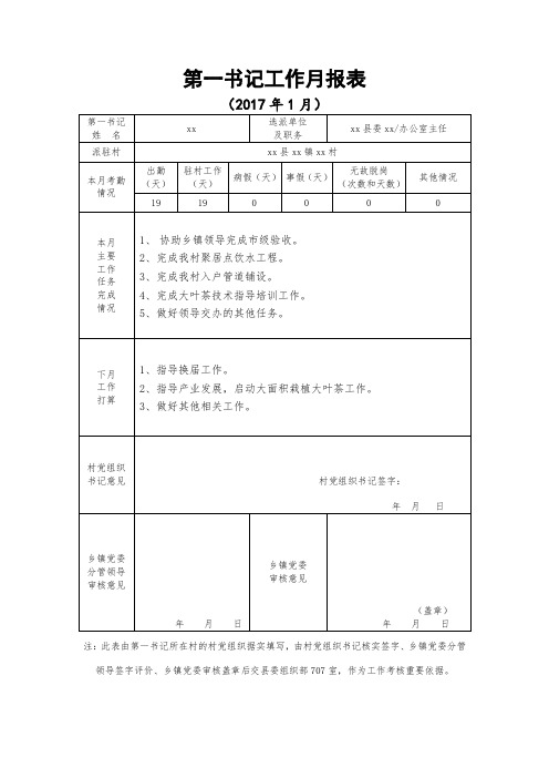 第一书记工作月报表台账(112)