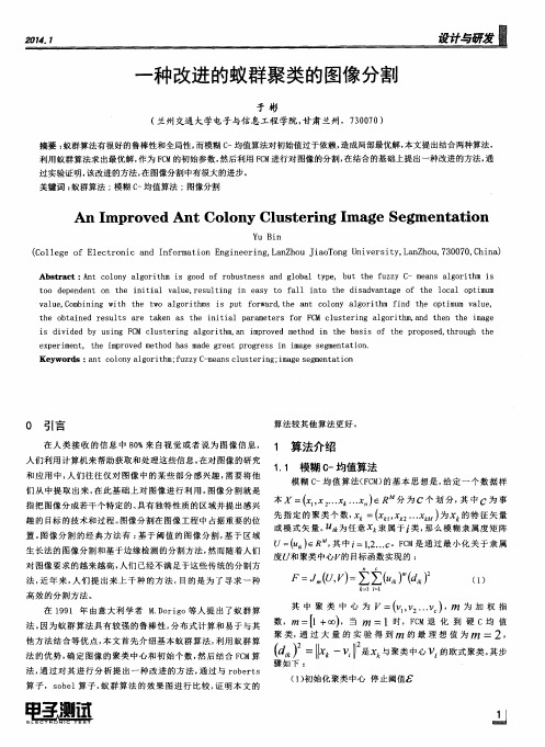 一种改进的蚁群聚类的图像分割