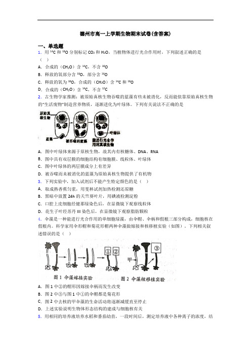 德州市高一上学期生物期末试卷(含答案)