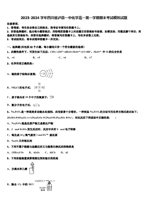 2023-2024学年四川省泸县一中化学高一第一学期期末考试模拟试题含解析