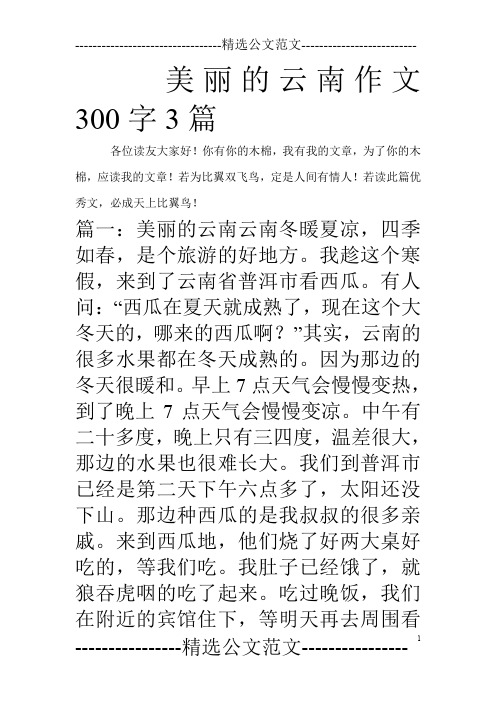 美丽的云南作文300字3篇