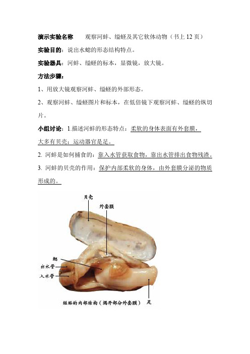 演示实验名称    观察河蚌、缢蛏及其它软体动物