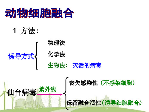 人教版教学课件人教新选修3细胞工程—第二节动物细胞工程