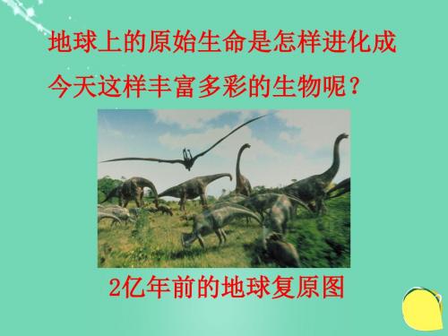 济南版八年级生物上册第五单元 第一章 第三节生物进化的历程