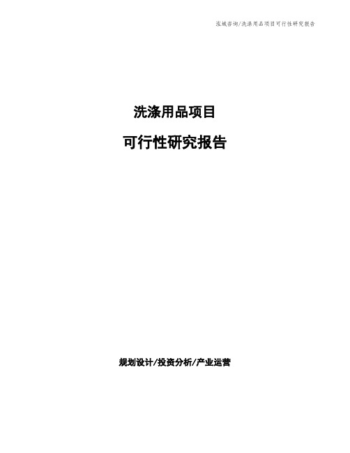 洗涤用品项目可行性研究报告