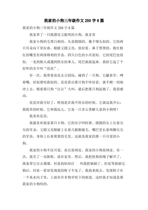 我家的小狗三年级作文250字6篇