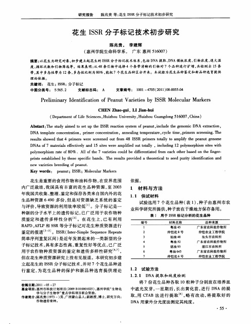 花生ISSR分子标记技术初步研究