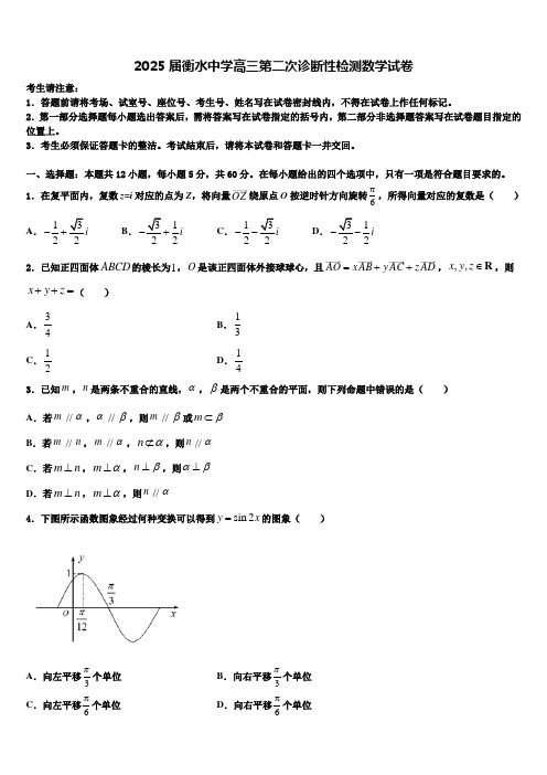 2025届衡水中学高三第二次诊断性检测数学试卷含解析