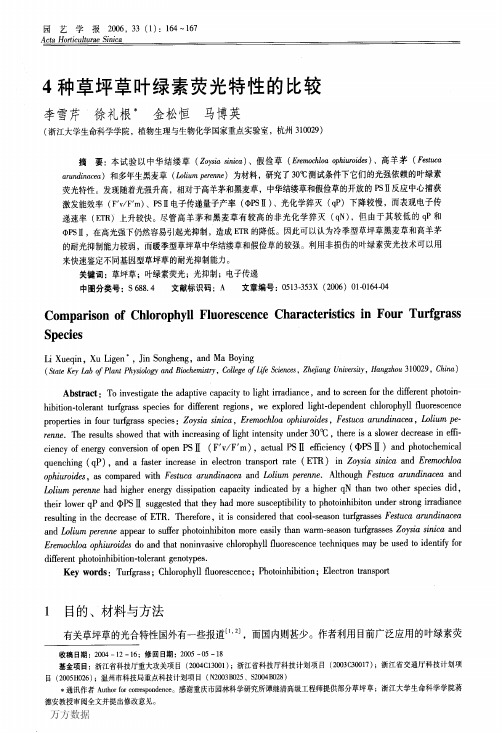 4种草坪草叶绿素荧光特性的比较