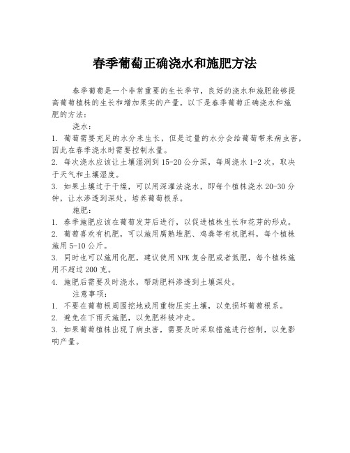 春季葡萄正确浇水和施肥方法