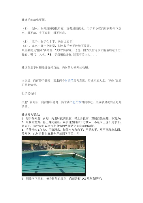 蛙泳手的动作要领