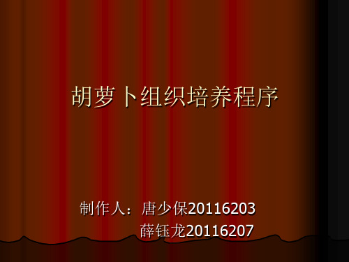 胡萝卜组织培养程序