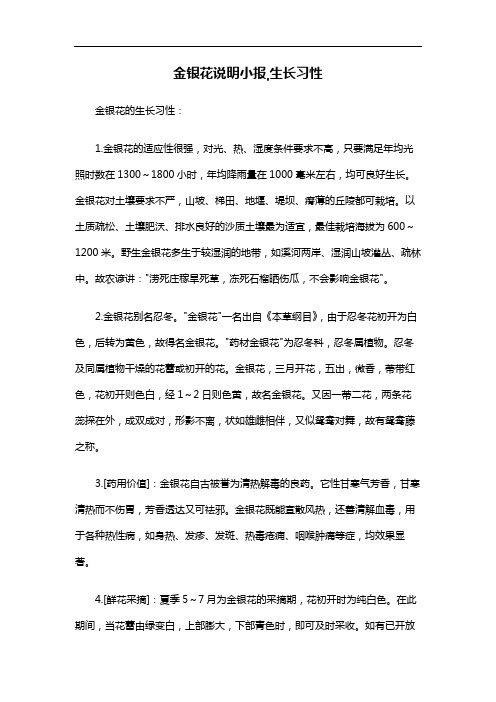 金银花说明小报,生长习性