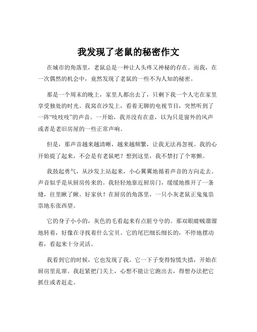 我发现了老鼠的秘密作文