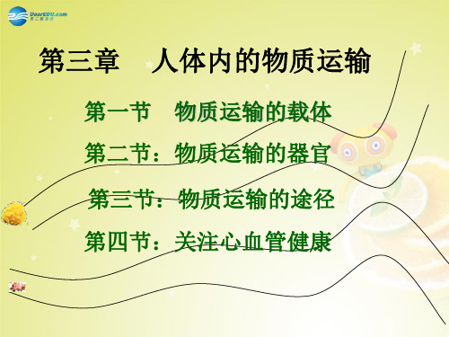 七年级生物下册 第三单元 第三章 第一节 物质运输的载体课件 济南版