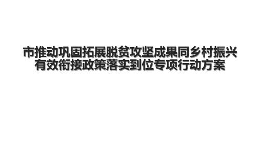 市推动巩固拓展脱贫攻坚成果同乡村振兴有效衔接政策落实到位专项行动方案