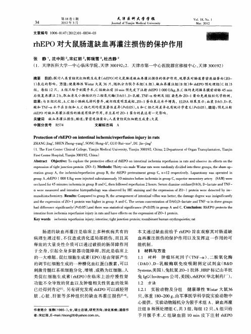 rhEPO对大鼠肠道缺血再灌注损伤的保护作用