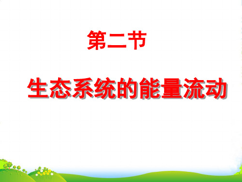 高中生物必修三教学课件：5.2生态系统的能量流动 (共33张PPT)