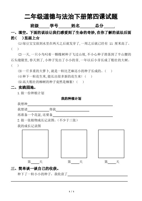 小学道德与法治部编版二年级下册《试种一粒籽》练习题