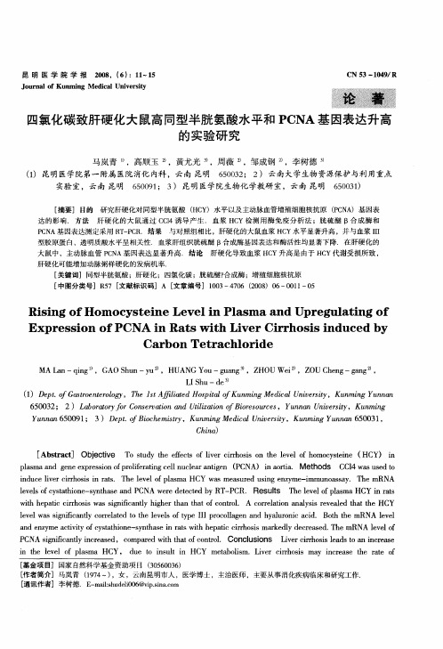 四氯化碳致肝硬化大鼠高同型半胱氨酸水平和PCNA基因表达升高的实验研究