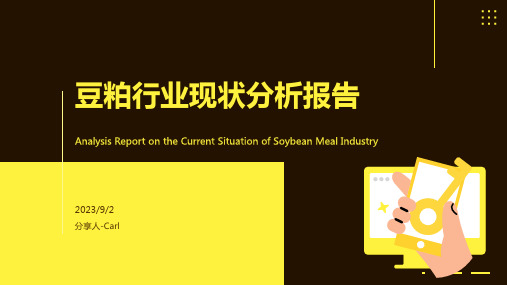 2023年豆粕行业现状分析模板